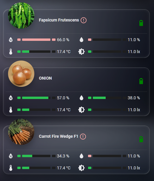 Automated Irrigation System