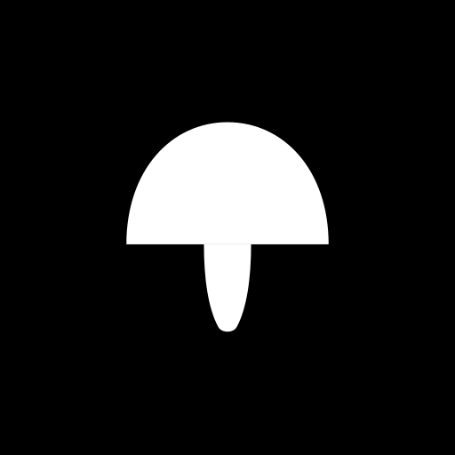 CAMusic app icon