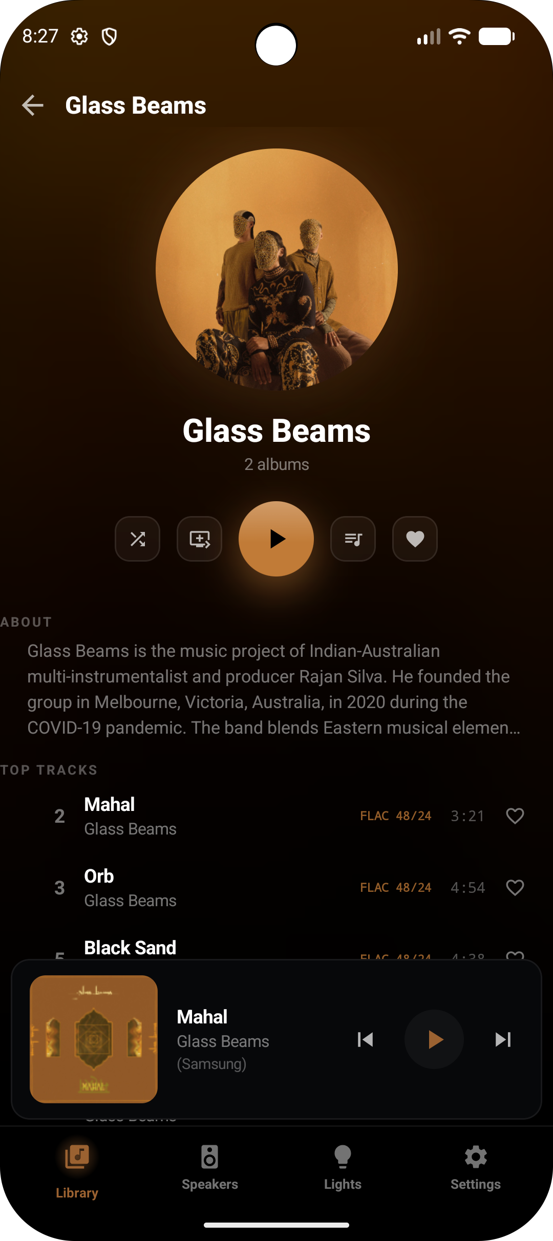 CAMusic artist library on a phone